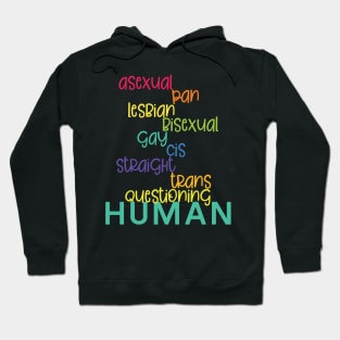 Rainbow Lives Human Lives Hoodie